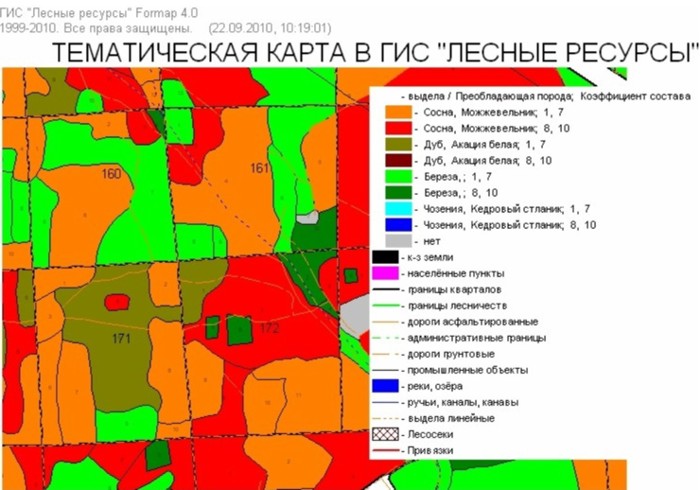 План лесонасаждений это определение